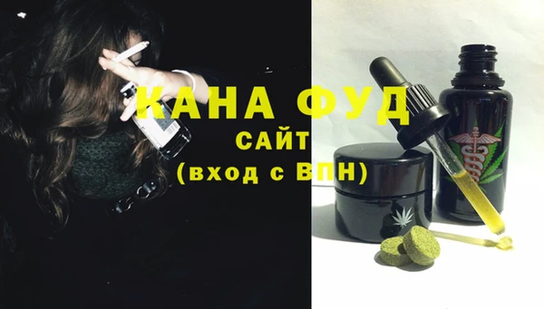 мдпв Инсар