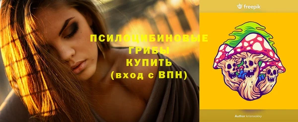 молекула духа Иннополис