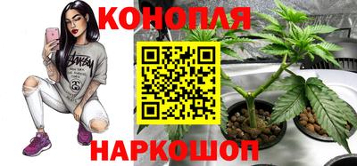 амф Заволжье