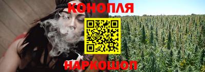 амф Заволжье