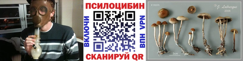 как найти Надым mega tor Галлюциногенные грибы Psilocybine cubensis