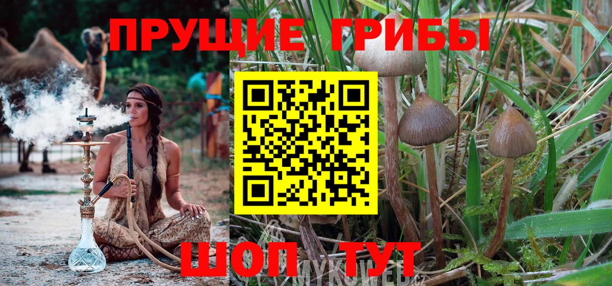 Псилоцибиновые грибы MAGIC MUSHROOMS  Галлюциногенные грибы мухоморы  Вход с VPN  где купить наркоту  Надым 