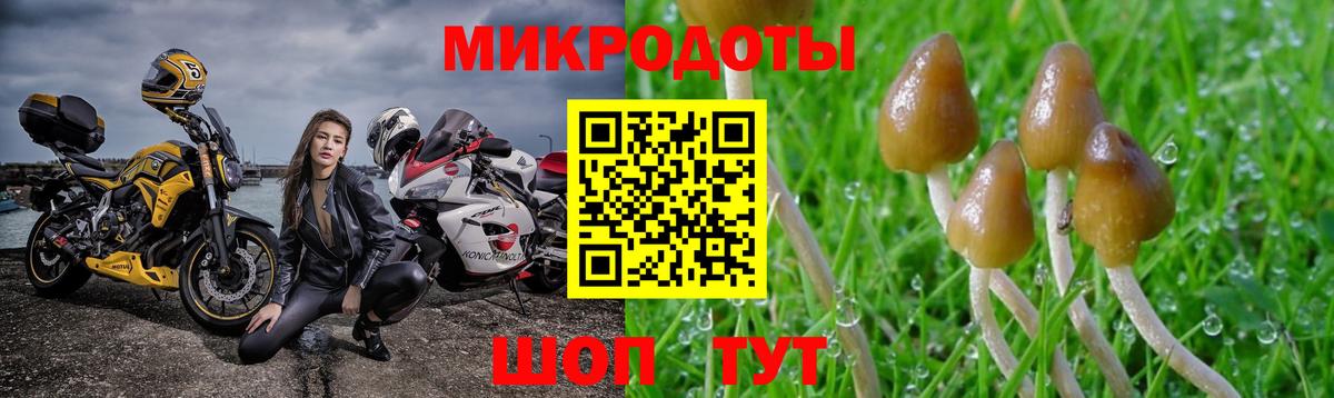 Псилоцибиновые грибы прущие грибы Надым